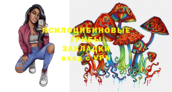прущая мука Армянск