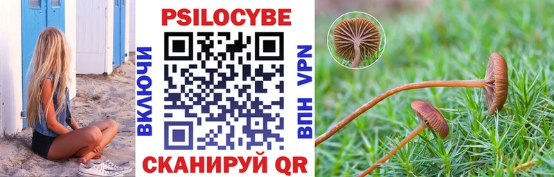 Псилоцибиновые грибы Psilocybine cubensis Темрюк